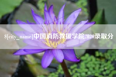 惠州中国消防救援学院2020录取分