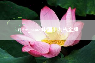 惠州中国十九枚金牌