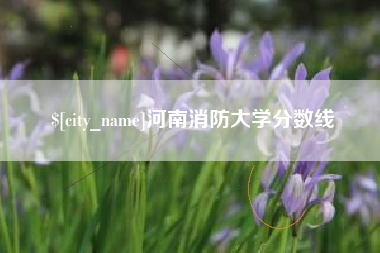 惠州河南消防大学分数线