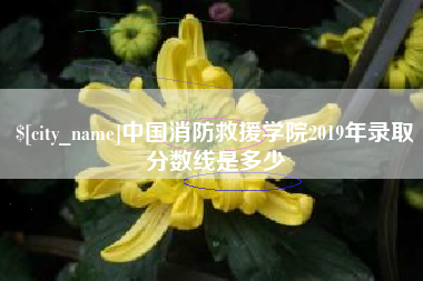 惠州中国消防救援学院2019年录取分数线是多少