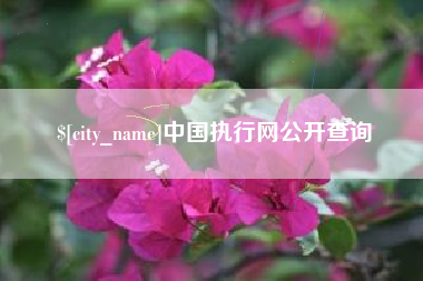 惠州中国执行网公开查询