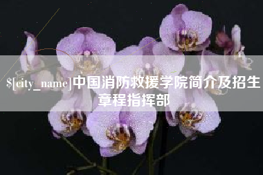 惠州中国消防救援学院简介及招生章程指挥部