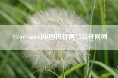惠州中国执行信息公开网网