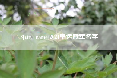 惠州2024奥运冠军名字