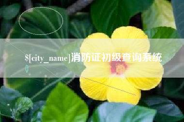 惠州消防证初级查询系统