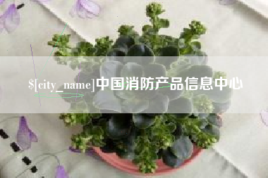 惠州中国消防产品信息中心