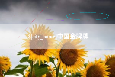 惠州中国金牌牌