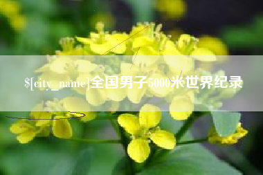 惠州全国男子5000米世界纪录