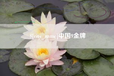 惠州中国9金牌