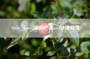 惠州消防产品cccf认证目录