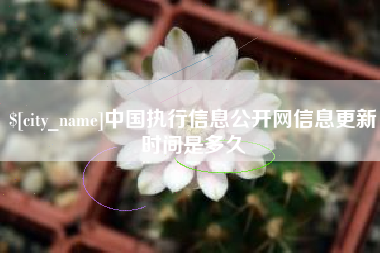 惠州中国执行信息公开网信息更新时间是多久