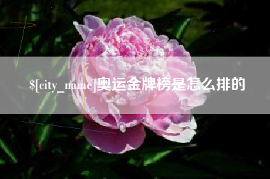 惠州奥运金牌榜是怎么排的