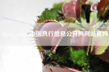 惠州中国执行信息公开网网站官网