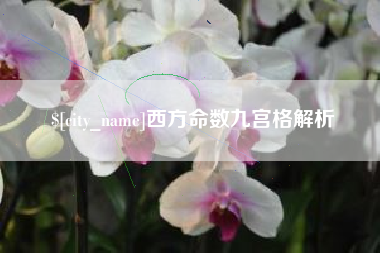惠州西方命数九宫格解析