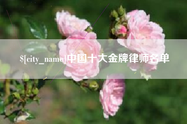 惠州中国十大金牌律师名单
