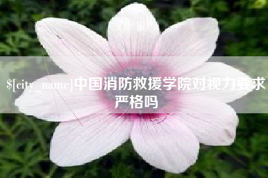 惠州中国消防救援学院对视力要求严格吗