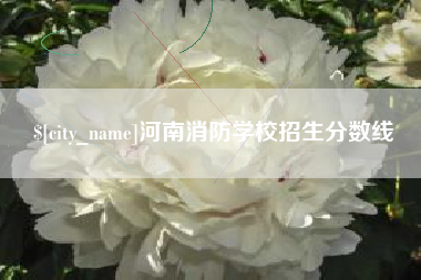 惠州河南消防学校招生分数线