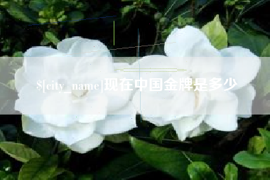 惠州现在中国金牌是多少