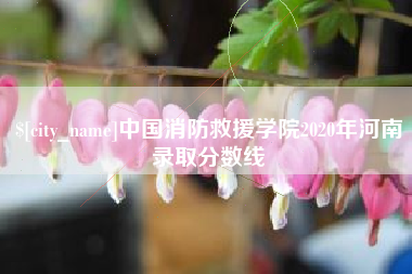 惠州中国消防救援学院2020年河南录取分数线