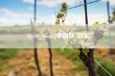 惠州中国队 冠军