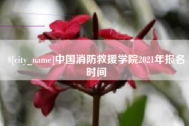 惠州中国消防救援学院2021年报名时间