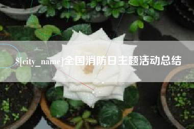 惠州全国消防日主题活动总结