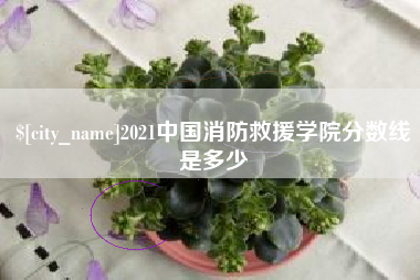 惠州2021中国消防救援学院分数线是多少