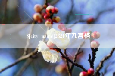 惠州2821年九宫格