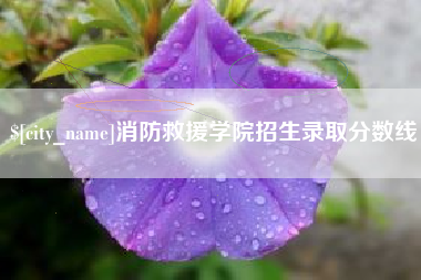 惠州消防救援学院招生录取分数线