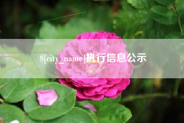 惠州执行信息公示