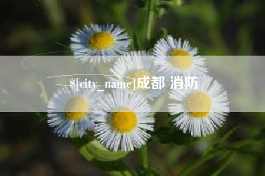 惠州成都 消防