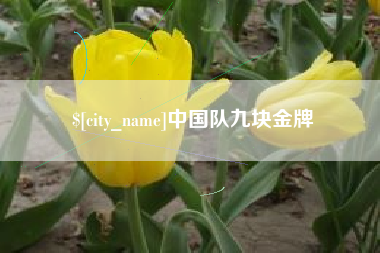 惠州中国队九块金牌