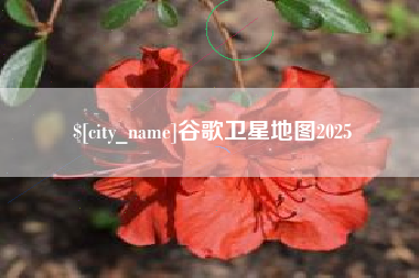 惠州谷歌卫星地图2025