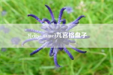 惠州九宫格盘子