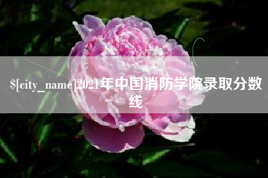 惠州2021年中国消防学院录取分数线