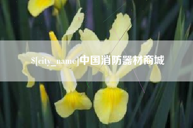 惠州中国消防器材商城