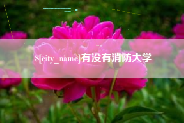 惠州有没有消防大学