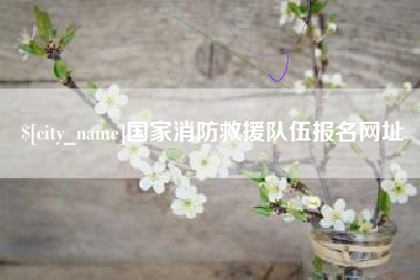 惠州国家消防救援队伍报名网址