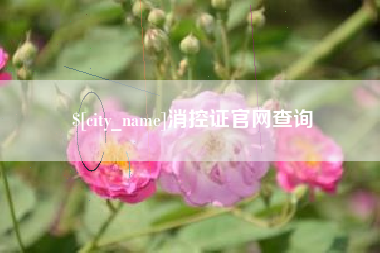 惠州消控证官网查询