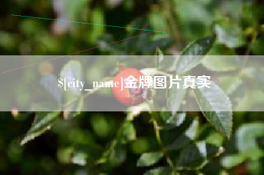 惠州金牌图片真实