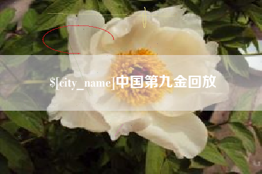 惠州中国第九金回放