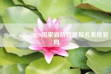 惠州2020国家消防救援报名系统官网