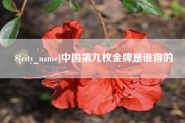 惠州中国第九枚金牌是谁得的