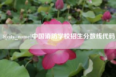 惠州中国消防学校招生分数线代码