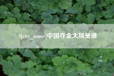 惠州中国夺金大项是谁