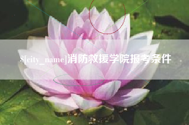惠州消防救援学院报考条件