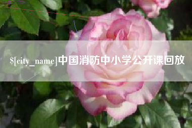 惠州中国消防中小学公开课回放