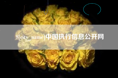 惠州中国执行信息公开网
