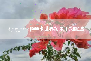 惠州5000米世界纪录平均配速