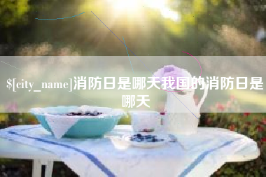 惠州消防日是哪天我国的消防日是哪天